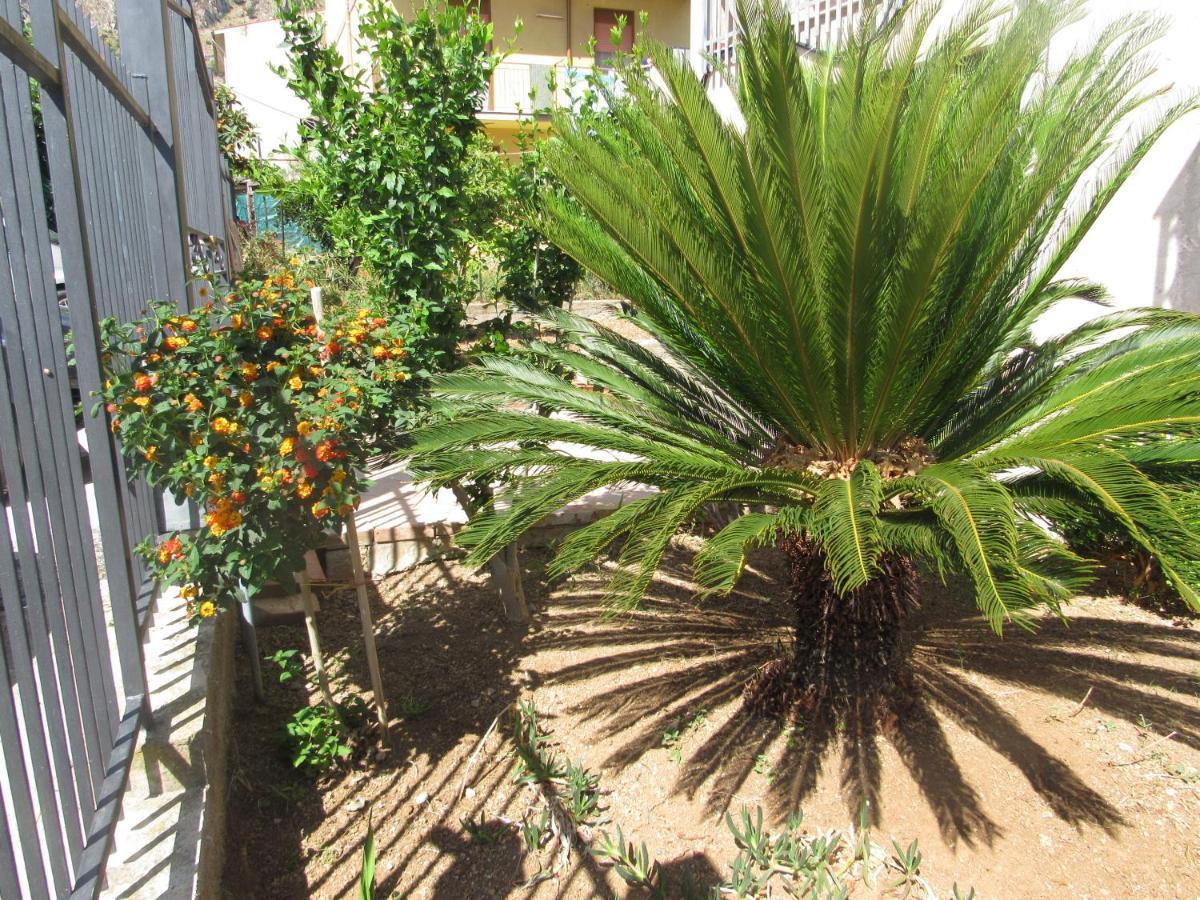 La Cycas Bed & Breakfast Trabia Ngoại thất bức ảnh