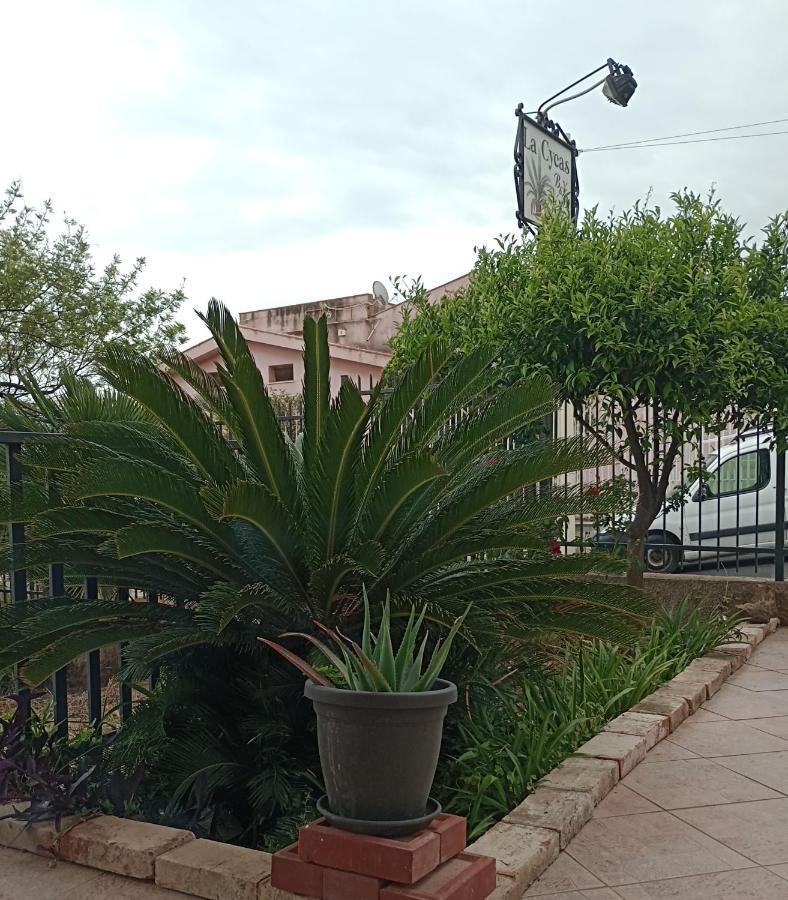 La Cycas Bed & Breakfast Trabia Ngoại thất bức ảnh